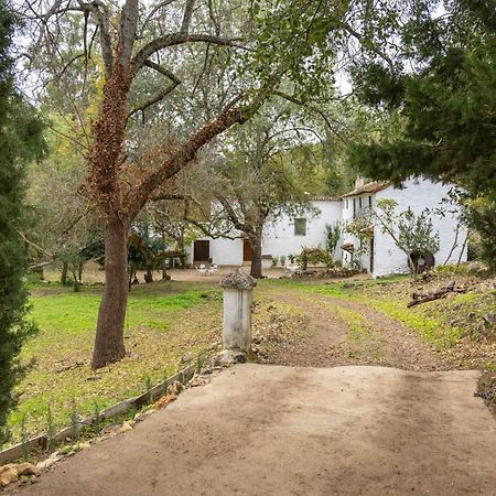 Molino De Gris Cazorla Villa Chilluevar Ngoại thất bức ảnh