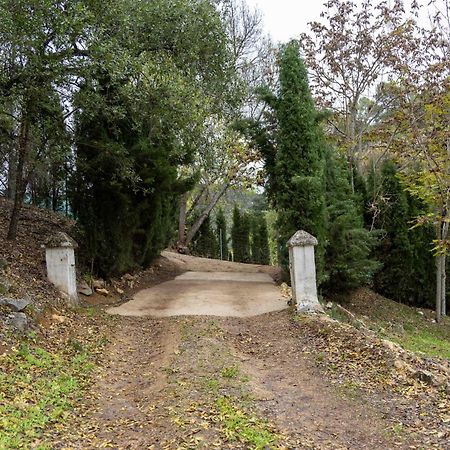 Molino De Gris Cazorla Villa Chilluevar Ngoại thất bức ảnh