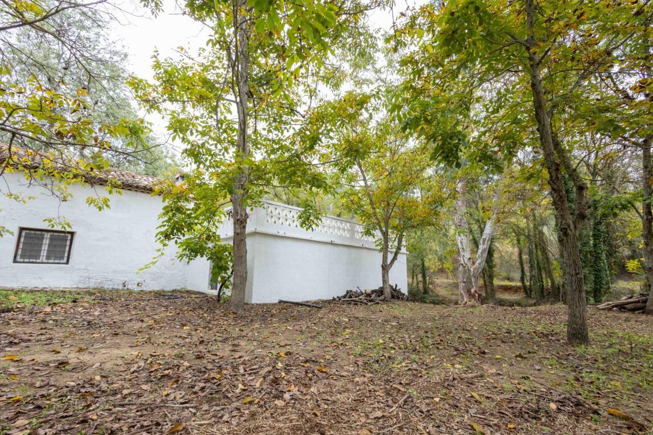 Molino De Gris Cazorla Villa Chilluevar Ngoại thất bức ảnh